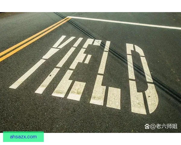 梦想的光芒与狂热的烈焰：追寻理想的边界与心灵的碰撞
